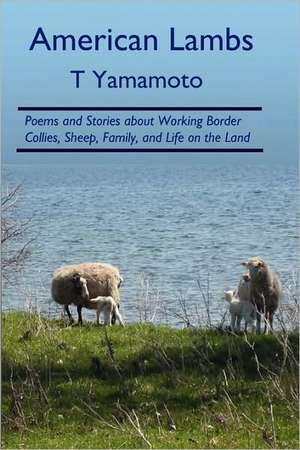 American Lambs: Poems and Stories about Working Border Collies, Sheep, Family, de T. Yamamoto