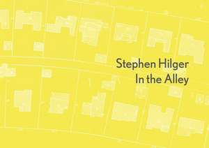 Stephen Hilger: In the Alley de Peter Kayafas