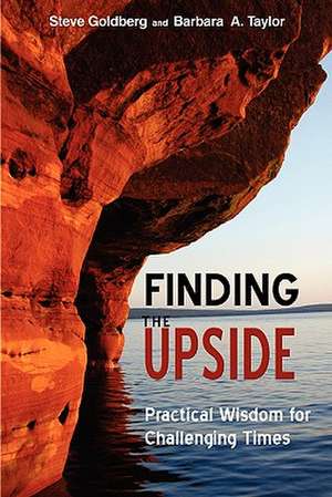 Finding the Upside: Practical Wisdom for Challenging Times de Steve Goldberg