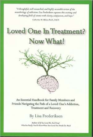 Loved One in Treatment? Now What! de Lisa Frederiksen