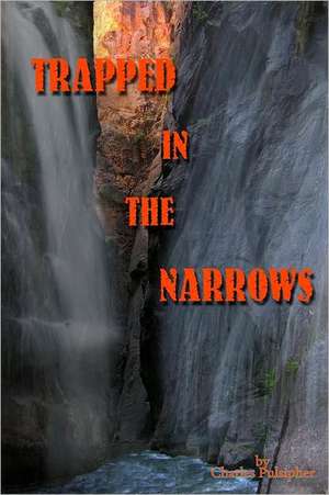 Trapped in the Narrows: Complexity, Self-Organization and Mind de Charles Pulsipher