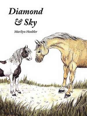 Diamond & Sky de Marilyn E. Hoobler