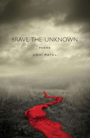 Brave the Unknown de Ushi Patel