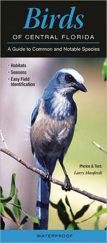 Birds of Central Florida: A Guide to Common & Notable Species de Larry Manfredi