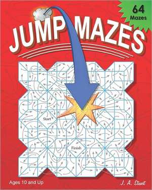 Jump Mazes: Essays on Life and Love and Letters de J. A. Stuart