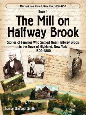 The Mill on Halfway Brook de Louise Elizabeth Smith