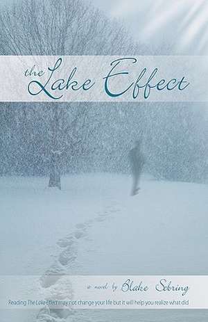 The Lake Effect: The Real Mom's Postpartum Survival Guide de Blake Sebring