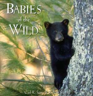 Babies of the Wild de Carel Erasmus