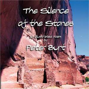 The Silence of the Stones de Peter Burt