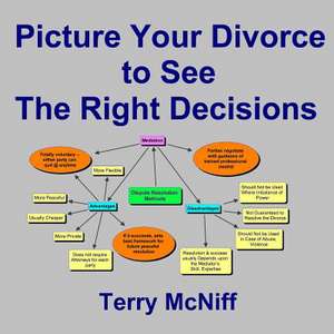 Picture Your Divorce to See the Right Decisions de Terry McNiff