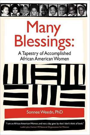 Many Blessings: A Tapestry of Accomplished African American Women de Weedn Sonnee