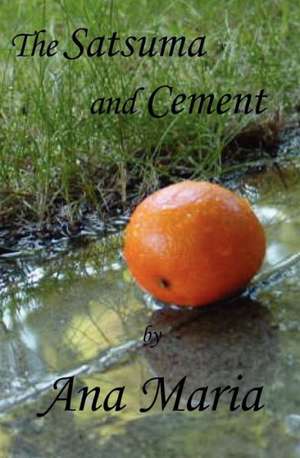 The Satsuma and Cement de Ana Maria