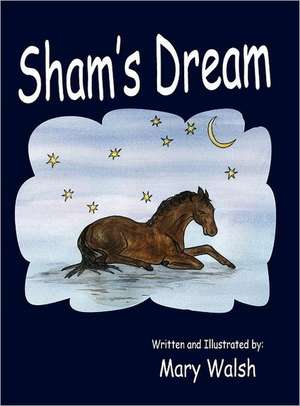 Sham's Dream de Mary Walsh