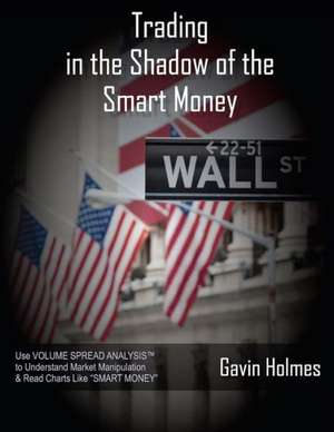 Trading in the Shadow of the Smart Money: The Structure of the One-Hour Television Pilot de MR Gavin Holmes