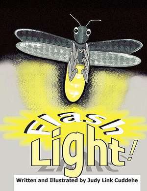 Flash Light! de Judy Link Cuddehe