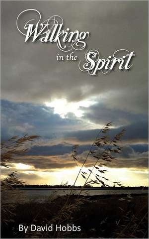 Walking in the Spirit: Navigate the Perfect Storm for Generational Change in the Workplace de David Hobbs