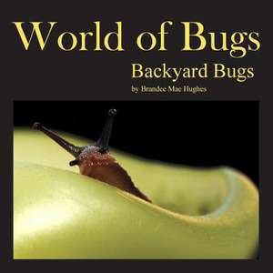 World of Bugs de Brandee Hughes