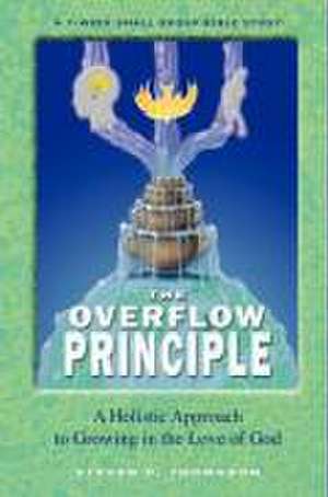 The Overflow Principle de Steven P. Thomason