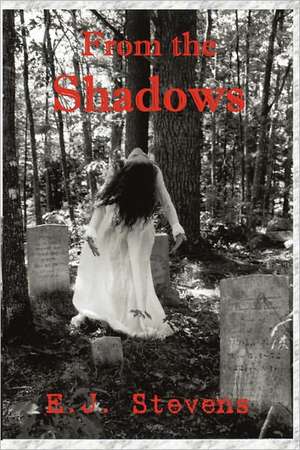 From the Shadows: 7 Keys to Work-Life Balance de E. J. Stevens