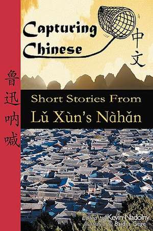 Capturing Chinese de Xun Lu