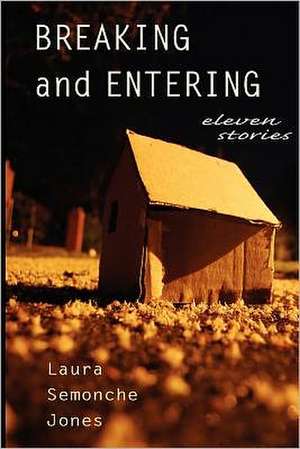 Breaking and Entering: Eleven Stories de Laura Semonche Jones