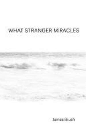 What Stranger Miracles de James Brush