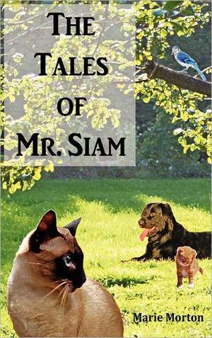 The Tales of Mr. Siam de Valerie Forsyth