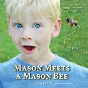 Mason Meets a Mason Bee de Dawn V Pape