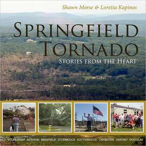 Springfield Tornado de Loretta Kapinos