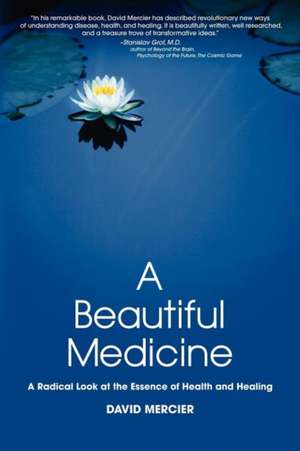 A Beautiful Medicine - A Radical Look at the Essence of Health and Healing