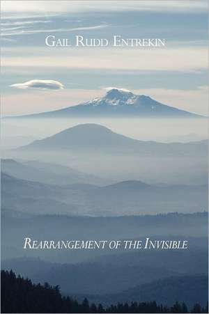 Rearrangement of the Invisible de Gail Rudd Entrekin