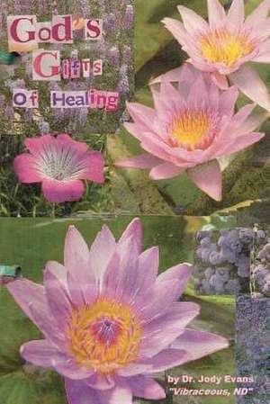 God's Gifts of Healing de Dr Jody Evans Nd