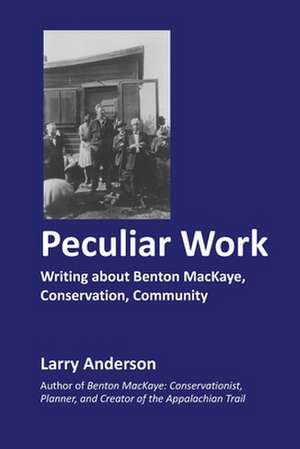 Peculiar Work de Larry Anderson