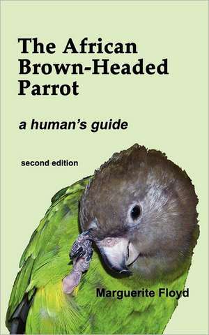 The African Brown-Headed Parrot de Marguerite Floyd