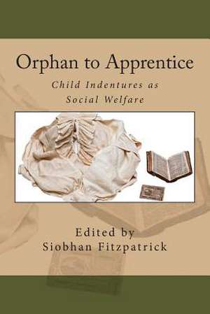 Orphan to Apprentice de Siobhan R. Fitzpatrick