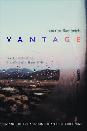 Vantage de Taneum Bambrick