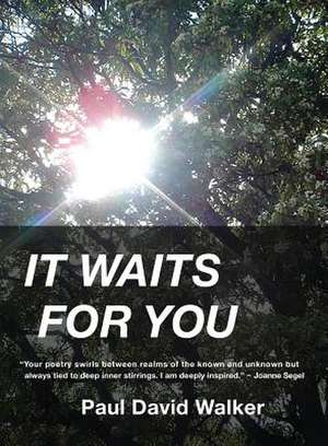 It Waits for You de Paul David Walker