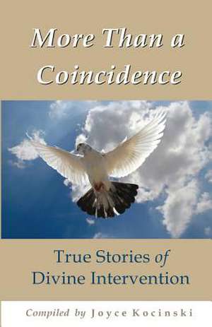 More Than a Coincidence de Joyce Kocinski