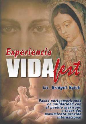 Experiencia Vidafest de Bridget Gabrielle Hylak