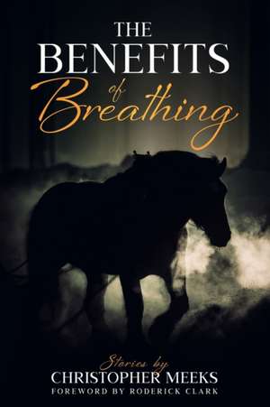 The Benefits of Breathing: and Other Stories de Christopher Meeks