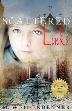 Scattered Links de Michelle Weidenbenner