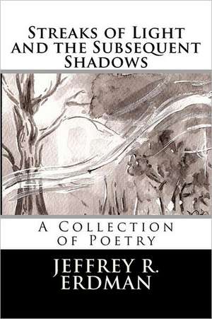 Streaks of Light and the Subsequent Shadows: Sketches of Solitude de Jeffrey R. Erdman