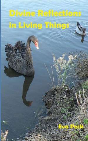 Divine Reflections in Living Things de Eva Peck