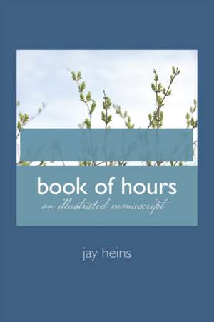 book of hours: an illuminated manuscript de Jay Heins