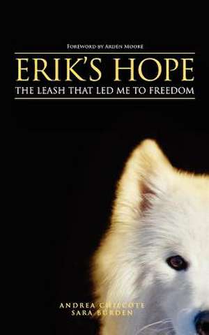 Erik's Hope de Andrea Chilcote