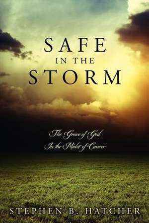 Safe in the Storm de Stephen B. Hatcher