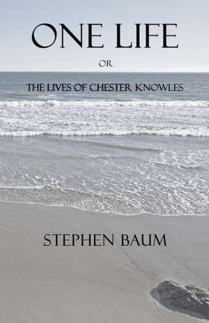 One Life or the Lives of Chester Knowles: Six Fantastical Tales of Love de Stephen Baum