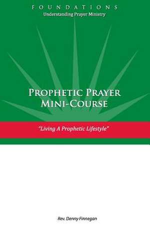 Prophetic Prayer Mini-Course: Living a Prophetic Lifestyle de Rev Denny Finnegan