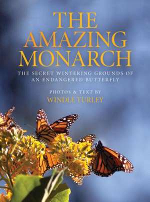 The Amazing Monarch: The Secret Windering Grounds of an Endangered Butterfly de Windle Turley