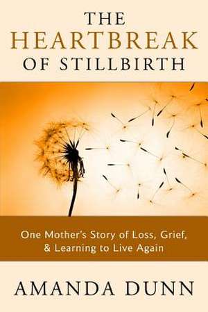 The Heartbreak of Stillbirth de Amanda Dunn